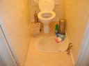 toilet3.jpg