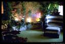 graceland-jungle-1-37_3.jpg